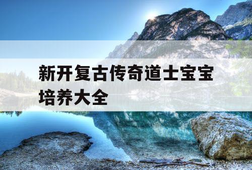 新开复古传奇道士宝宝培养大全