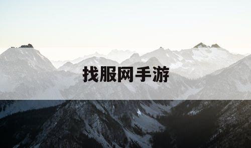 找服网手游