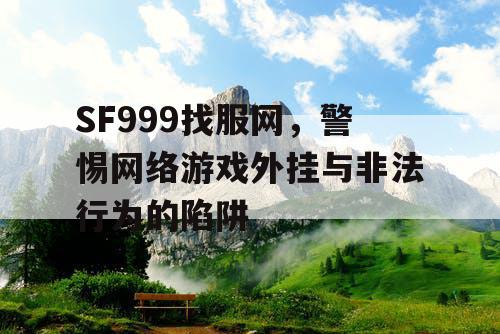 SF999找服网，警惕网络游戏外挂与非法行为的陷阱