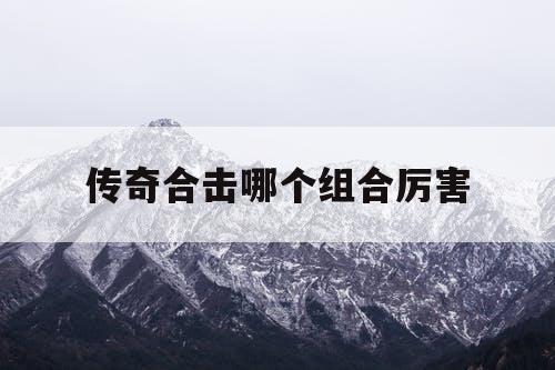传奇合击哪个组合厉害