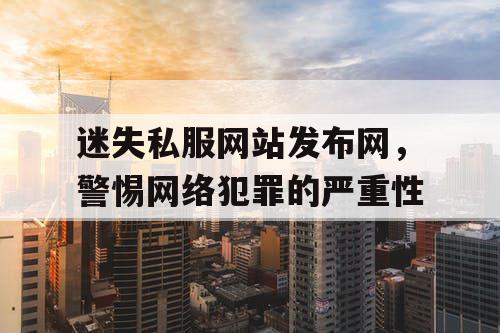 迷失私服网站发布网，警惕网络犯罪的严重性