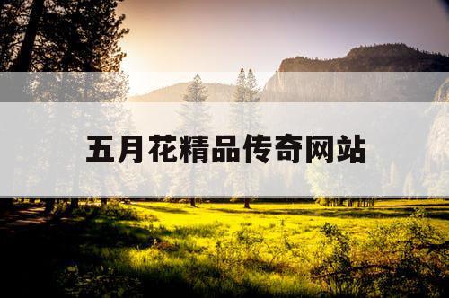 五月花精品传奇网站