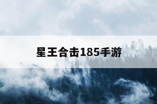 星王合击185手游