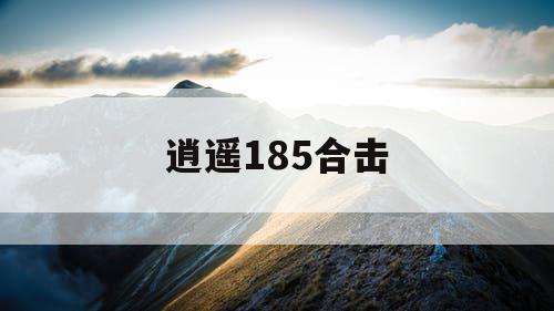 逍遥185合击