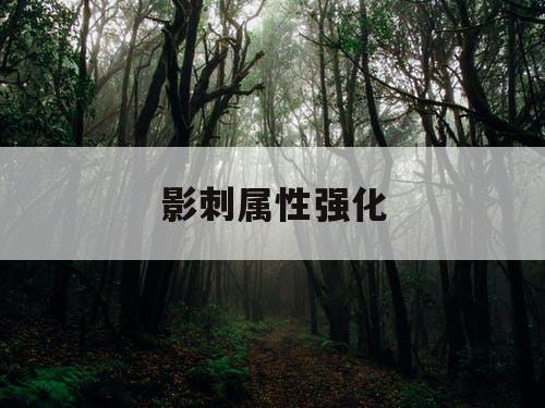 影刺属性强化