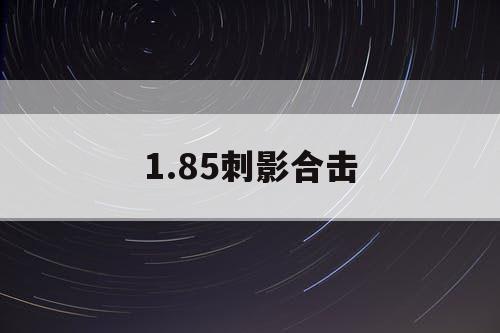 1.85刺影合击