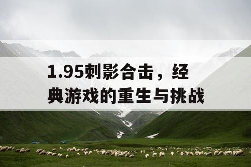 1.95刺影合击，经典游戏的重生与挑战