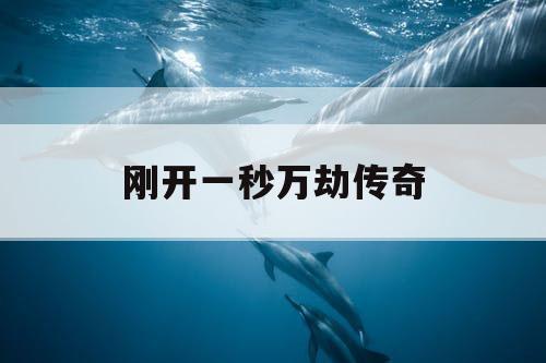 刚开一秒万劫传奇
