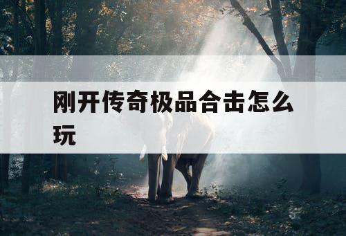 刚开传奇极品合击怎么玩