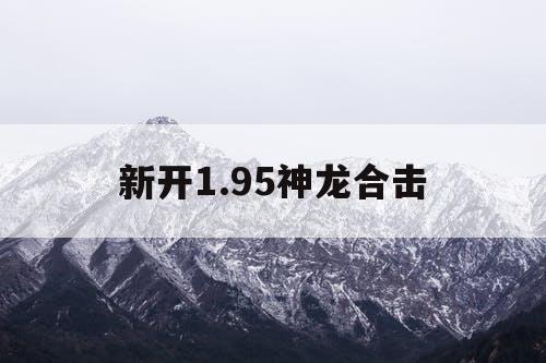 新开1.95神龙合击