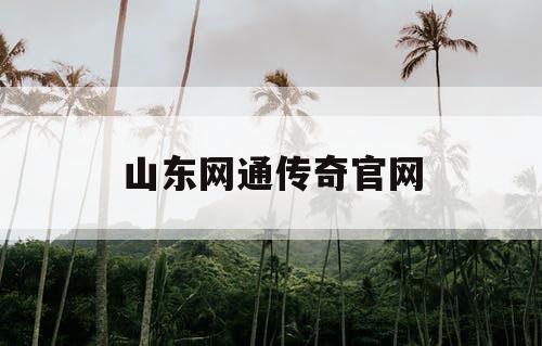 山东网通传奇官网