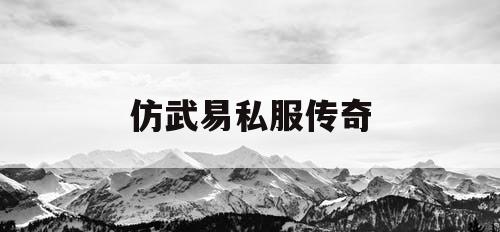 仿武易私服传奇