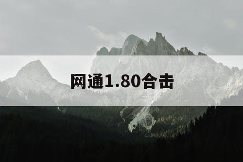 网通1.80合击