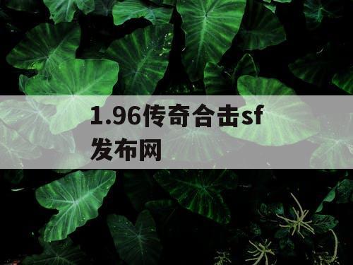 1.96传奇合击sf发布网