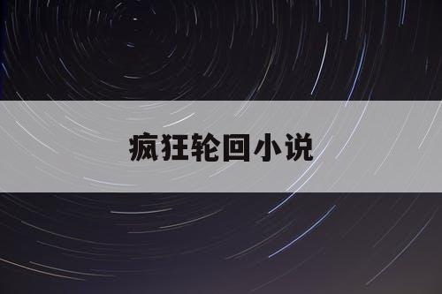 疯狂轮回小说