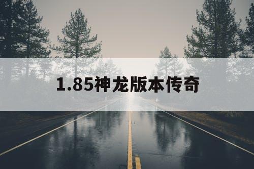 1.85神龙版本传奇