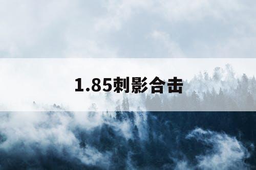1.85刺影合击