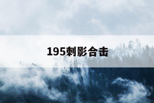 195刺影合击