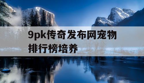 9pk传奇发布网宠物排行榜培养