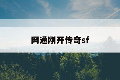 网通刚开传奇sf