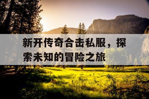 新开传奇合击私服，探索未知的冒险之旅