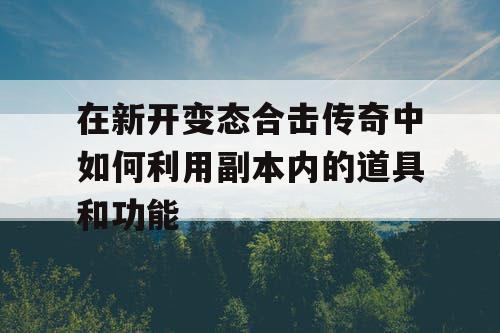 在新开变态合击传奇中如何利用副本内的道具和功能