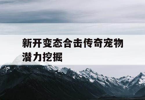 新开变态合击传奇宠物潜力挖掘