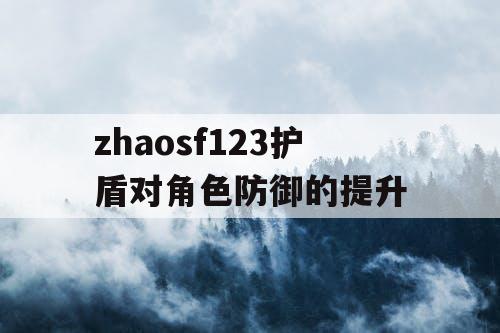 zhaosf123护盾对角色防御的提升