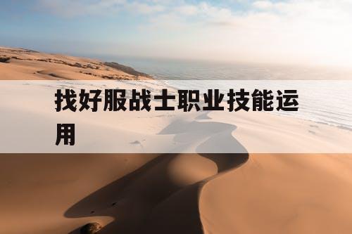 找好服战士职业技能运用