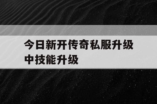 今日新开传奇私服升级中技能升级
