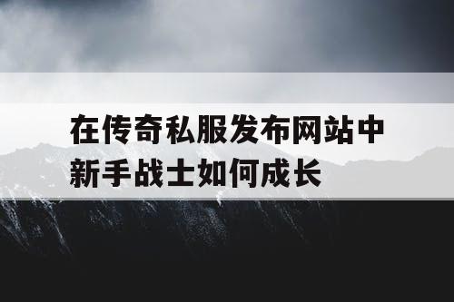 在传奇私服发布网站中新手战士如何成长