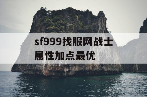 sf999找服网战士属性加点最优