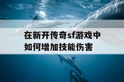在新开传奇sf游戏中如何增加技能伤害