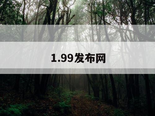 1.99发布网