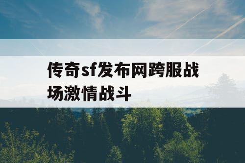 传奇sf发布网跨服战场激情战斗