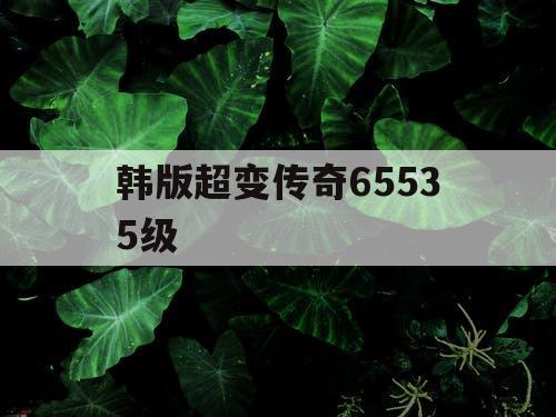 韩版超变传奇65535级