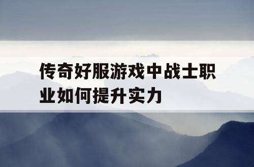 传奇好服游戏中战士职业如何提升实力