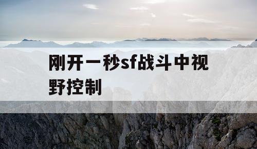刚开一秒sf战斗中视野控制