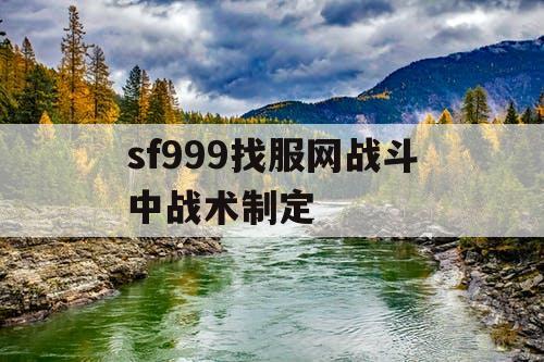 sf999找服网战斗中战术制定