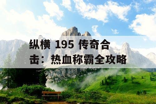 纵横 195 传奇合击：热血称霸全攻略