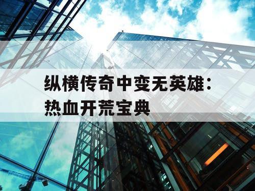 纵横传奇中变无英雄：热血开荒宝典