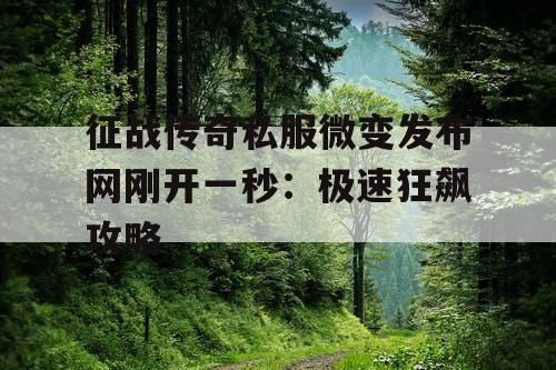 征战传奇私服微变发布网刚开一秒：极速狂飙攻略