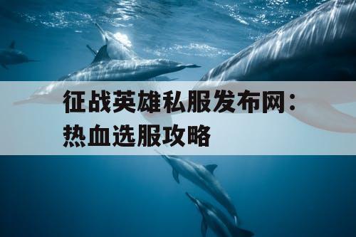 征战英雄私服发布网：热血选服攻略