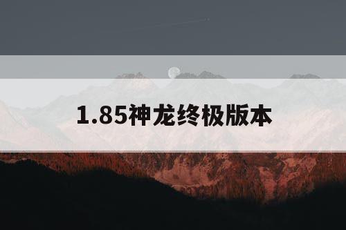 1.85神龙终极版本