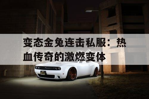 变态金兔连击私服：热血传奇的激燃变体