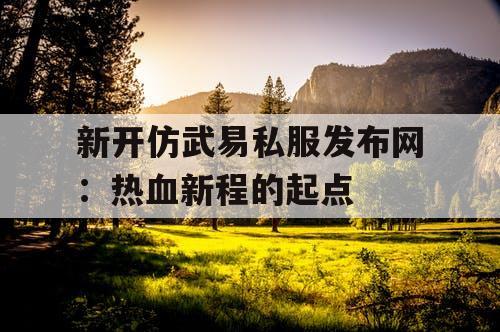 新开仿武易私服发布网：热血新程的起点