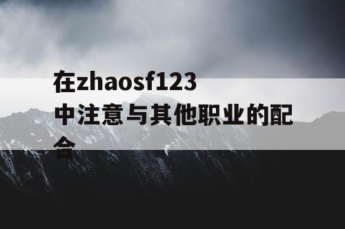 在zhaosf123中注意与其他职业的配合