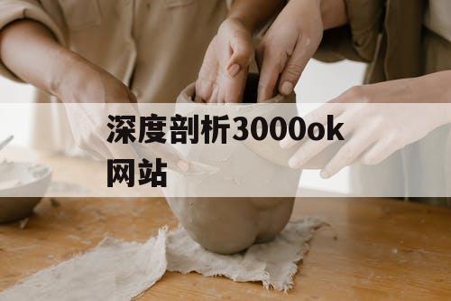 深度剖析3000ok网站