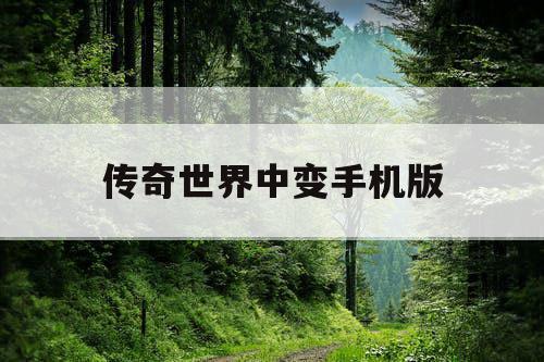 传奇世界中变手机版