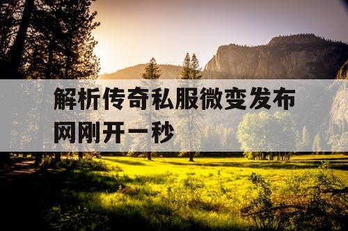 解析传奇私服微变发布网刚开一秒